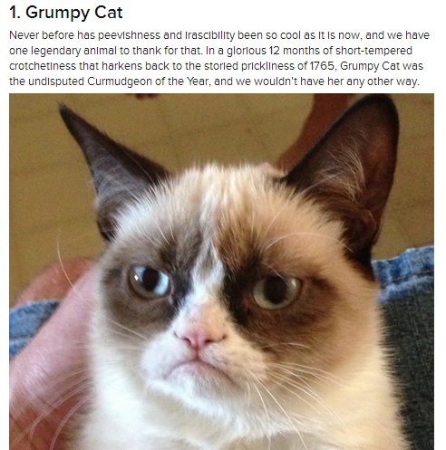 Grumpy Cat #1 on Buzzfeed's 30 Most Important Cats of 2012