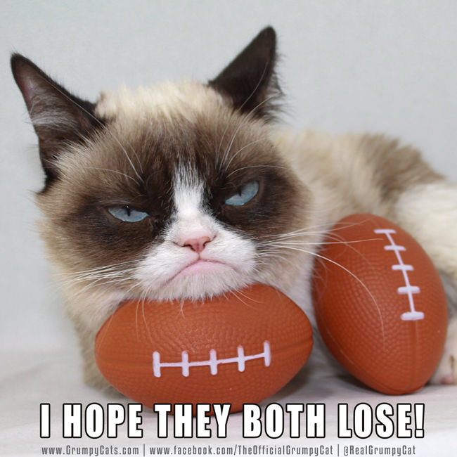 Grumpy Cat on the Super Bowl - This game is awful!