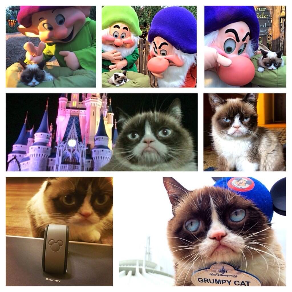 Grumpy Cat met the Seven Dwarfs at Walt Disney World Mine Train coaster preview