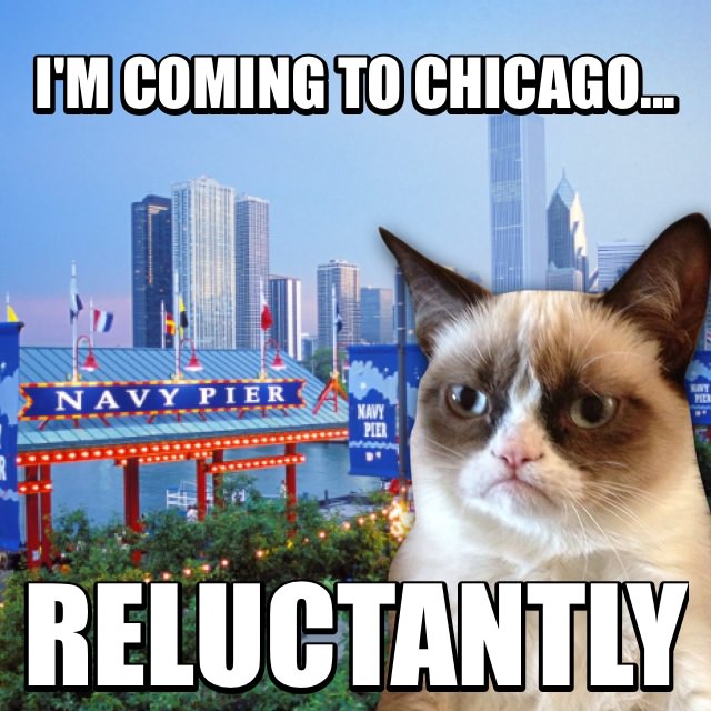 Meet Grumpy Cat in Chicago