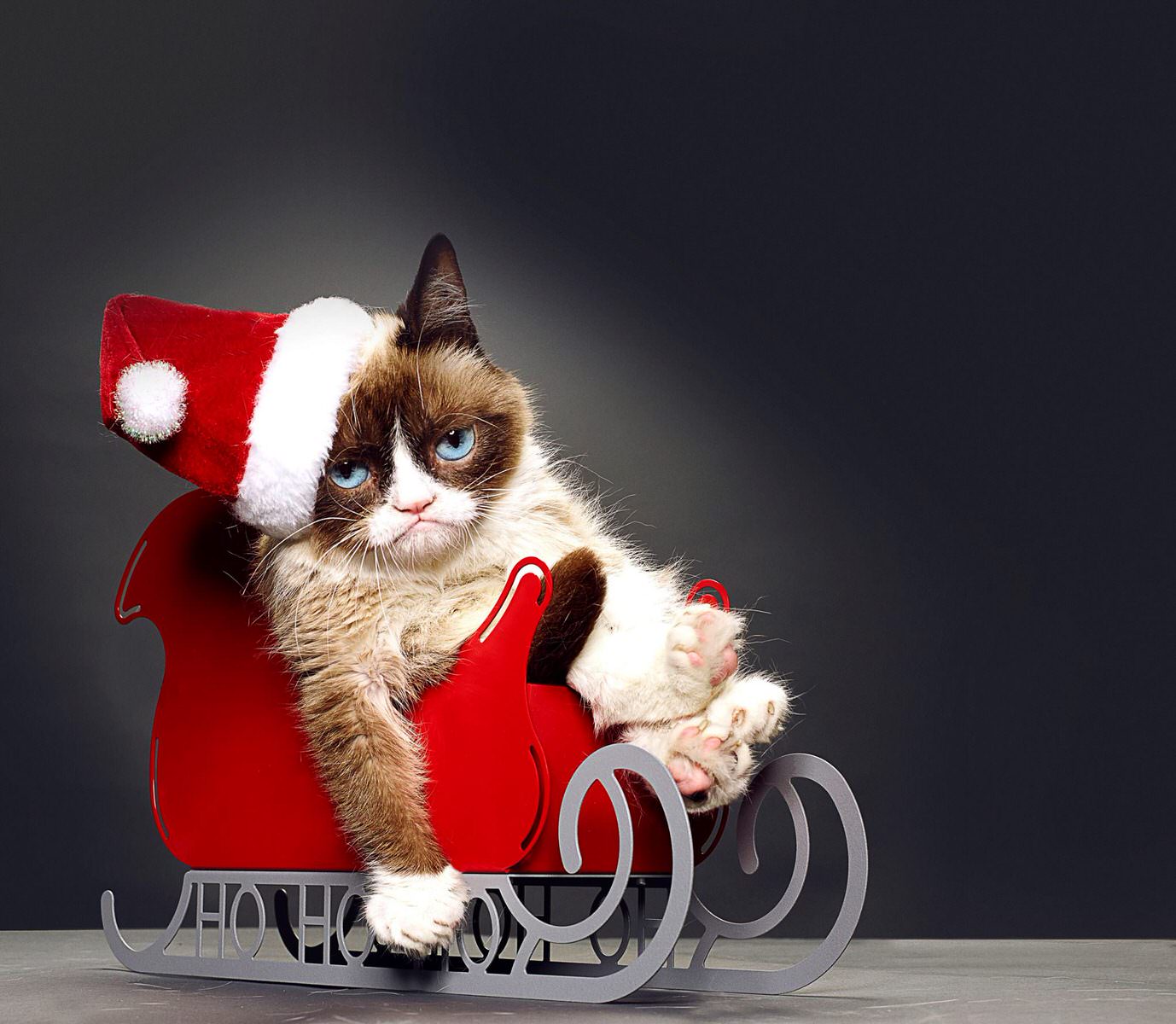 Grumpy Cat's Worst Christmas Ever