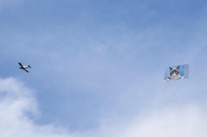 Grumpy Cat Soars Over SXSW