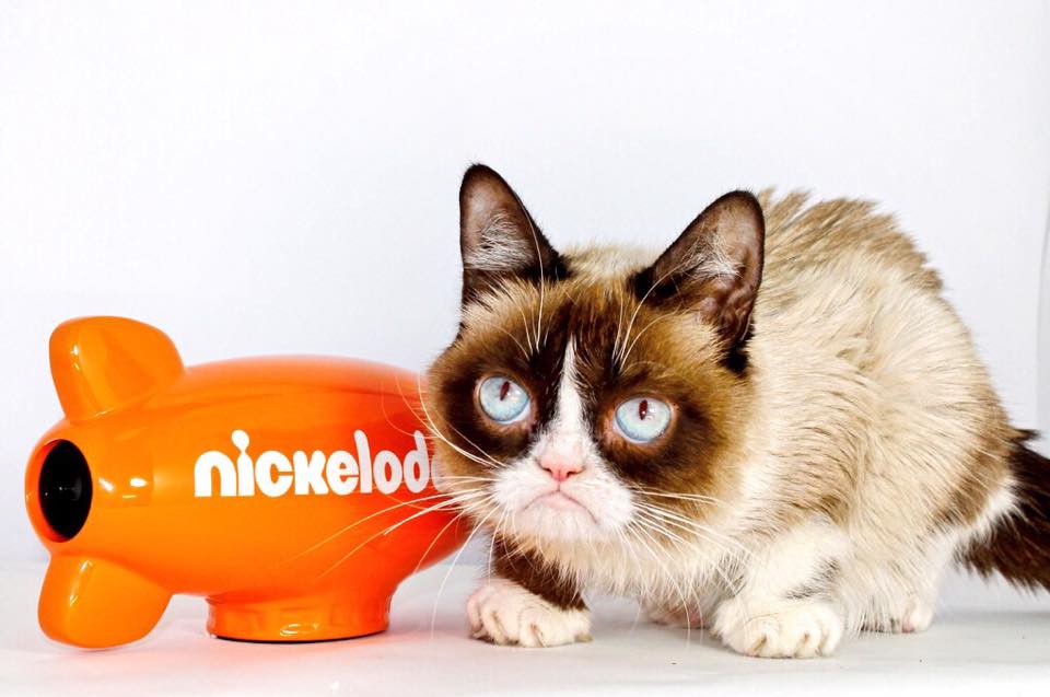 Grumpy Cat attends Nickelodeon's 28th Annual Kids' Choice Awards