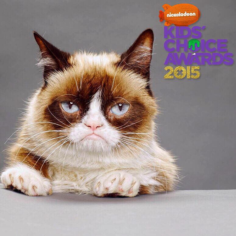 Grumpy Cat attends Nickelodeon's 28th Annual Kids' Choice Awards