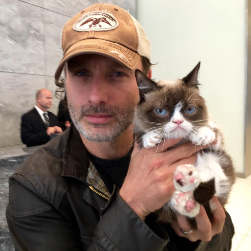 Grumpy Cat Meets Andrew Lincoln from The Walking Dead